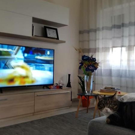 Casa Adele Apartment เซียนา ภายนอก รูปภาพ