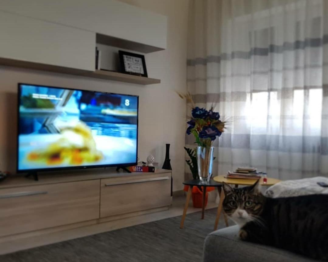 Casa Adele Apartment เซียนา ภายนอก รูปภาพ